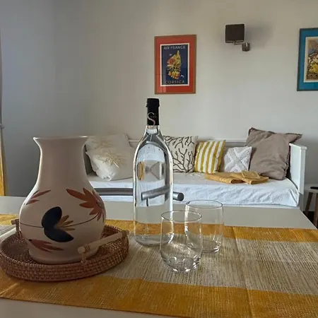 Entre Mer, Piscine Et Maquis, T2 Avec Panorama