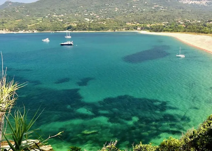 Entre Mer, Piscine Et Maquis, T2 Avec Panorama
